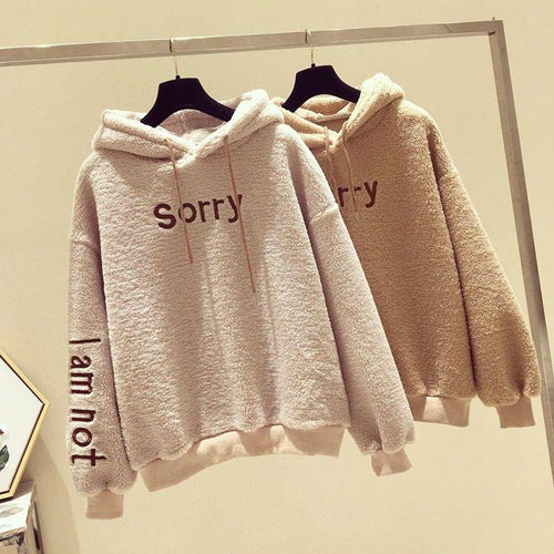 Warm Spring and Autumn Women Long Hoodies Women's Loose Hooded Sweatshirts Turtleneck Spring Thin Women's Hoodies